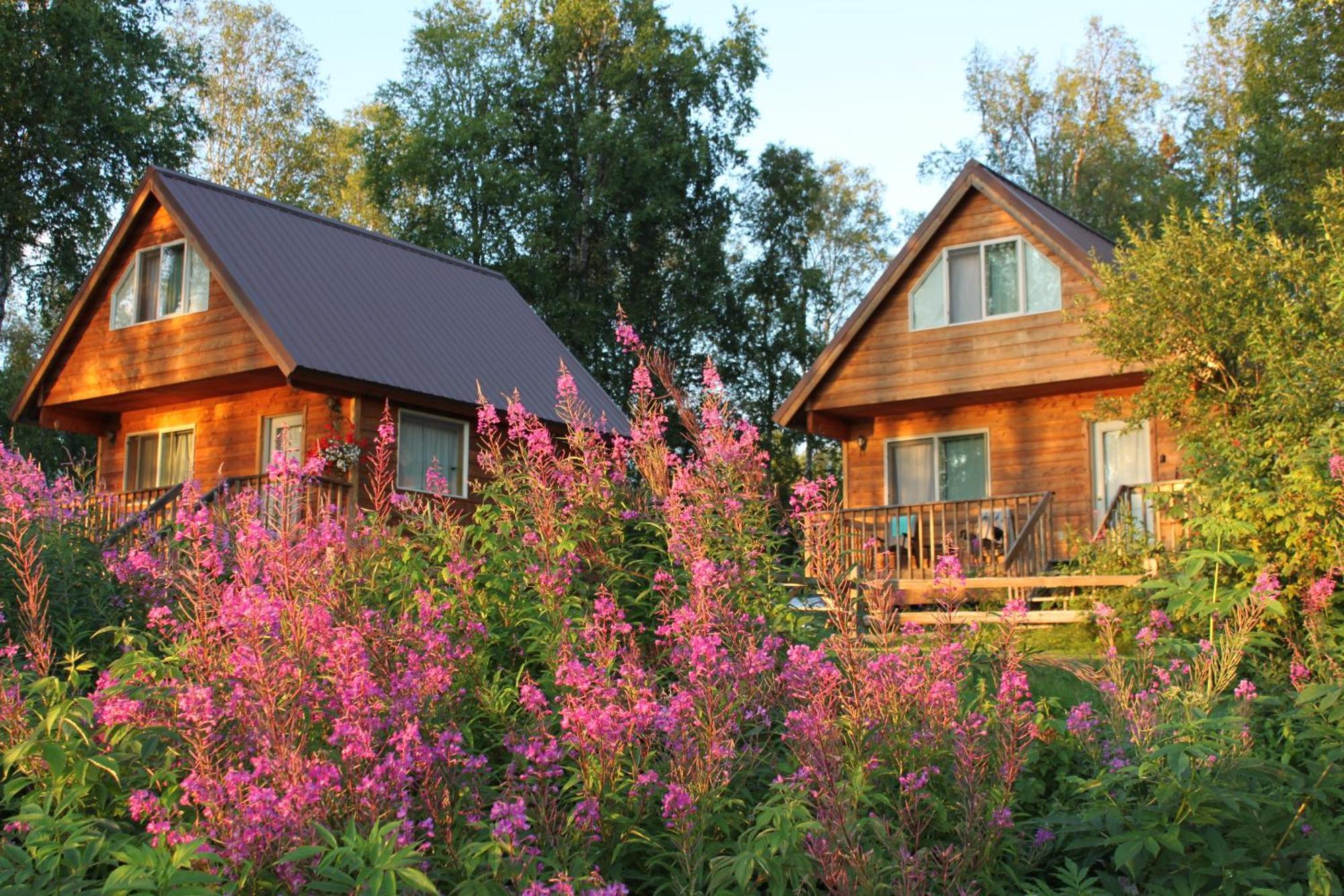 Riverside Cabins Talkeetna Exterior foto